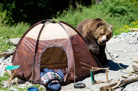 bear proof bags for camping.